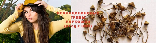 амфетамин Пестово