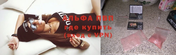 твердый Пересвет
