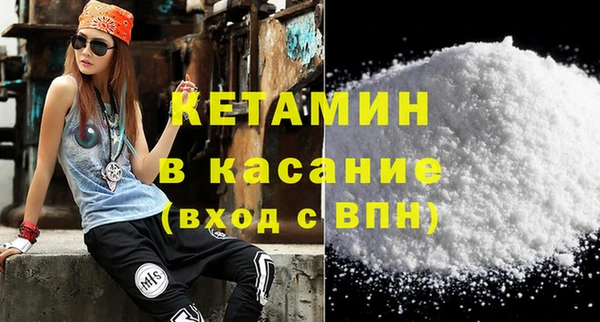 твердый Пересвет