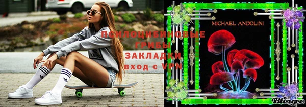 ГАЛЛЮЦИНОГЕННЫЕ ГРИБЫ Переславль-Залесский