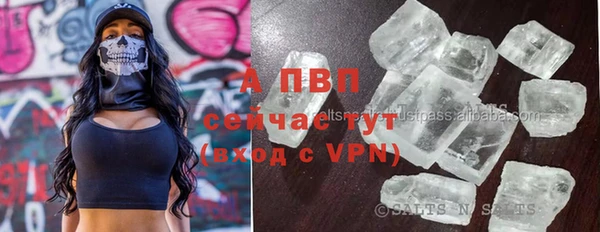 твердый Пересвет