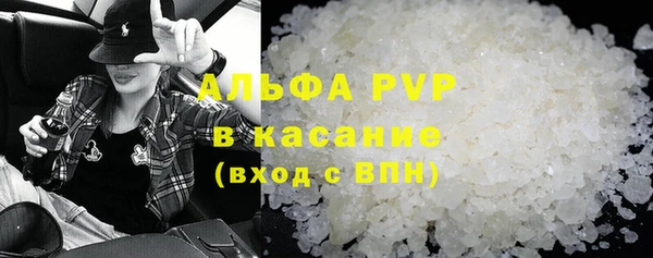 твердый Пересвет
