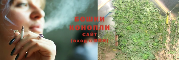 твердый Пересвет