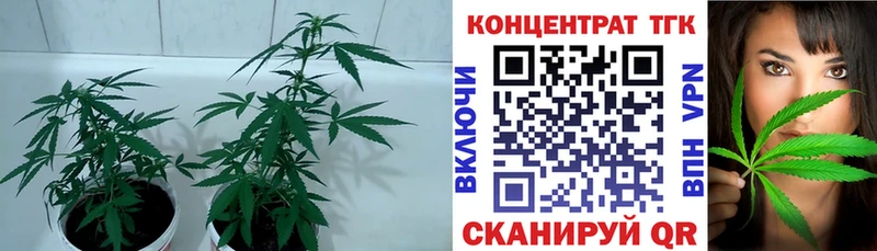 mega зеркало  Томмот  Дистиллят ТГК вейп с тгк 